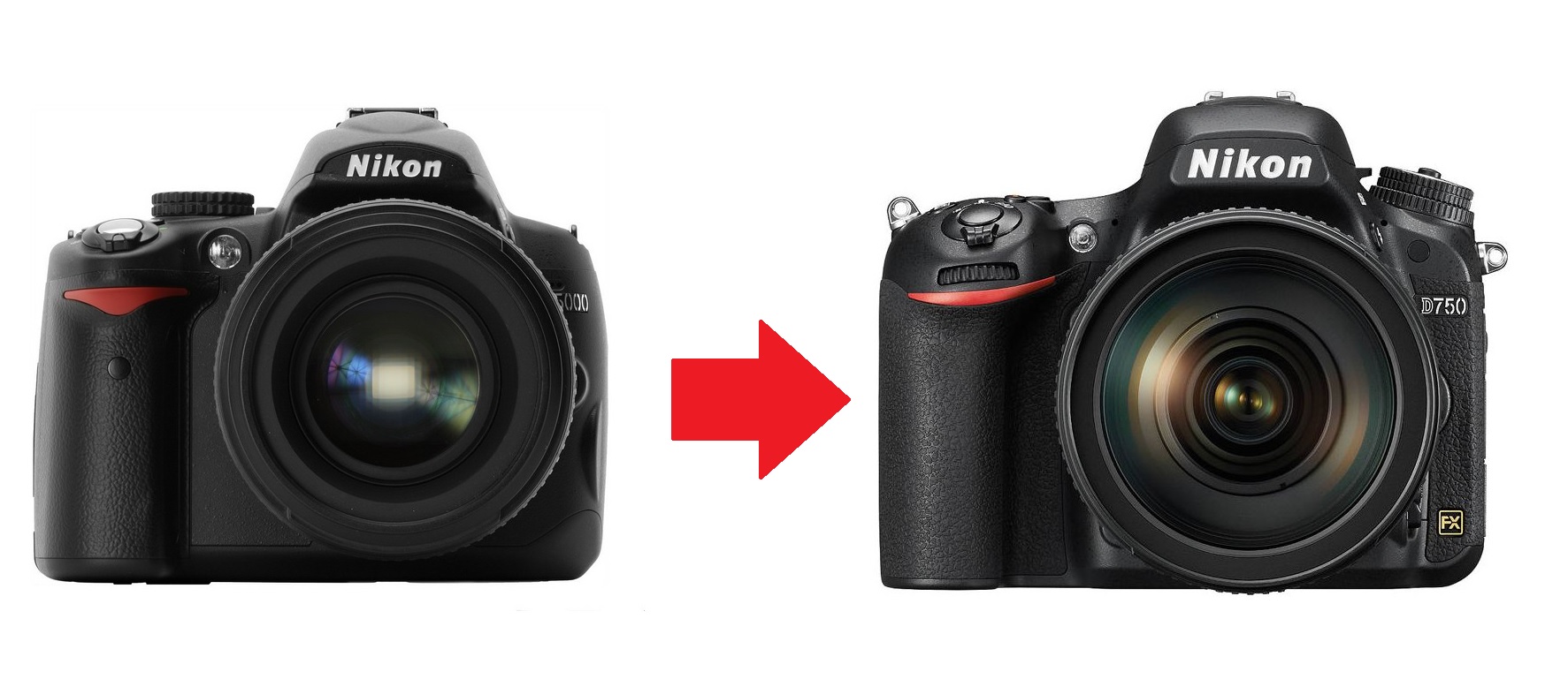 Passaggio a full frame: le 4 cose che più mi hanno colpito il primo giorno