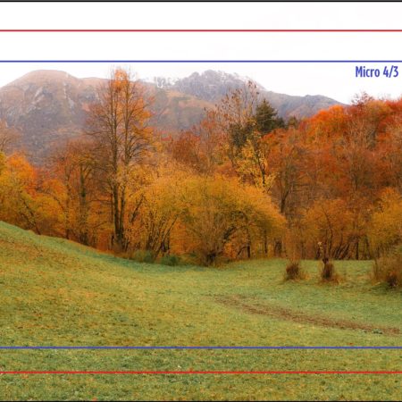 E’ tutta questione di misura – FF, Aps-C o m4/3 ?