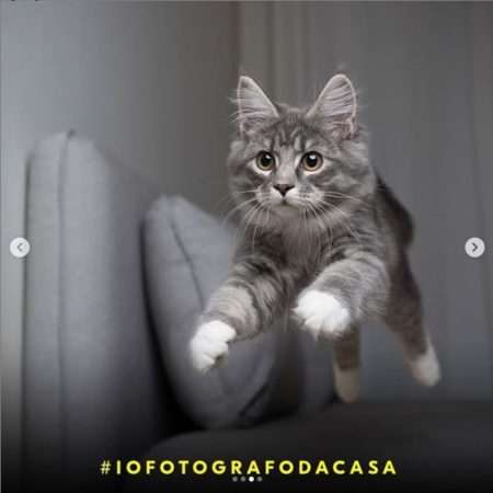 Nikon lancia #iofotografodacasa, webinar di fotografia e challenge sui social